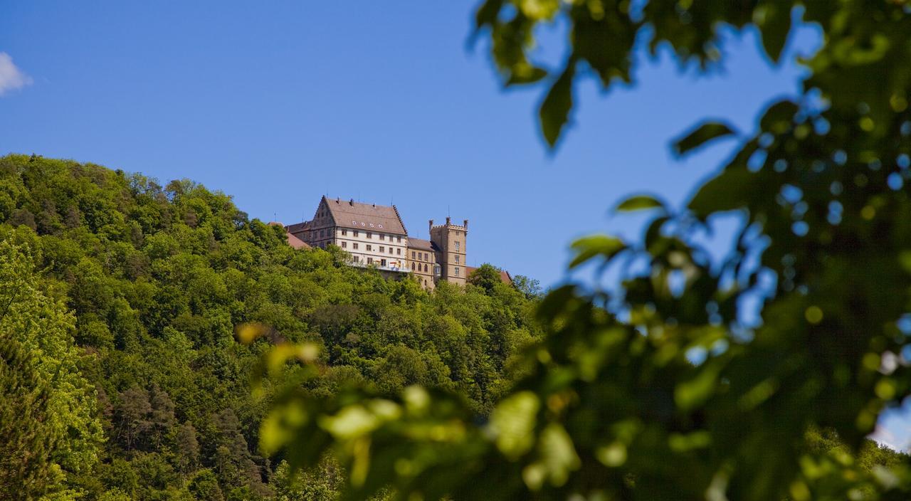 Schloss Weitenburg Starzach Exterior photo
